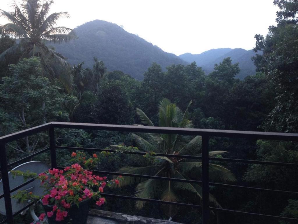 Araliya Home Stay Kandy Buitenkant foto