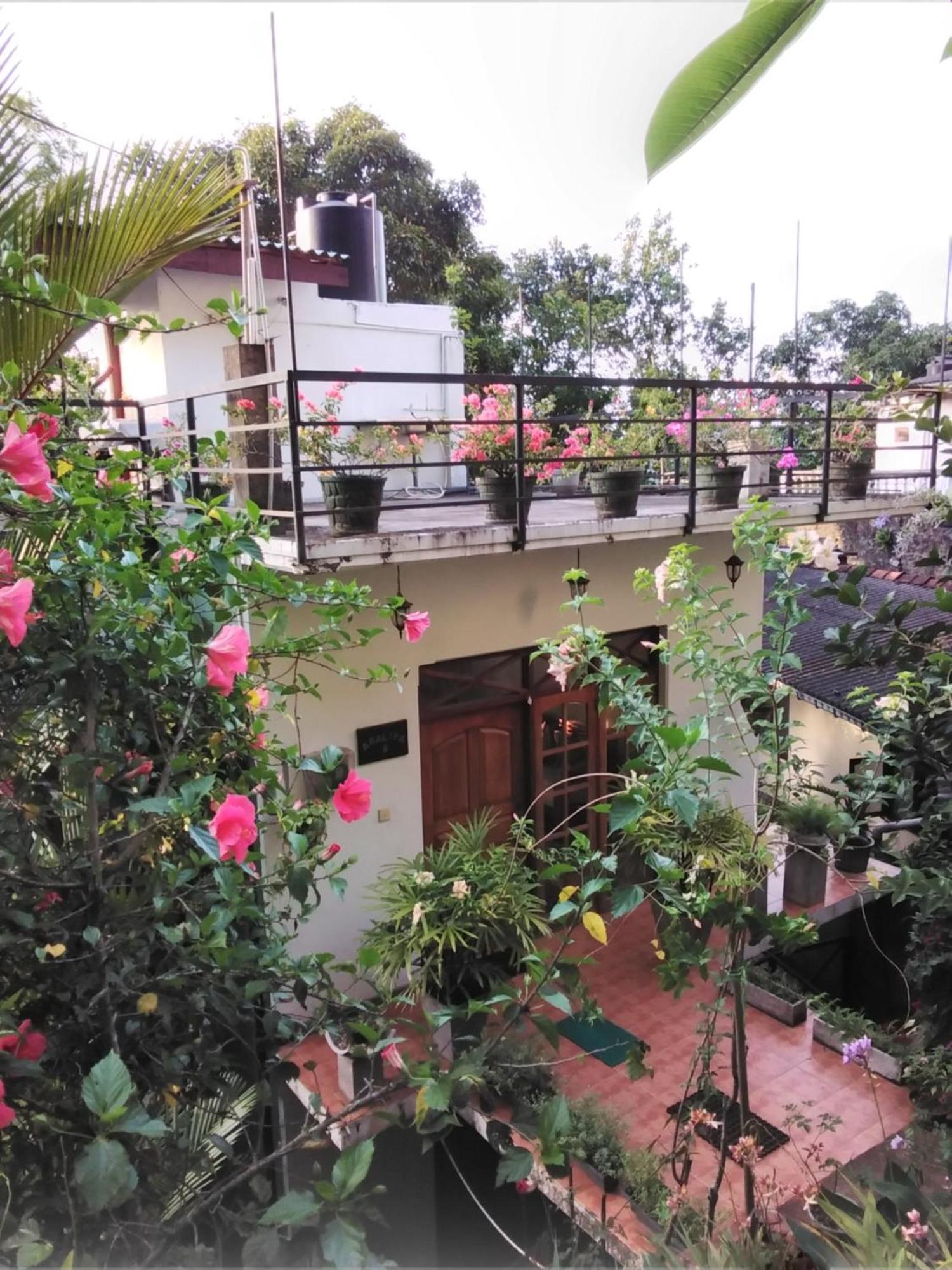 Araliya Home Stay Kandy Buitenkant foto