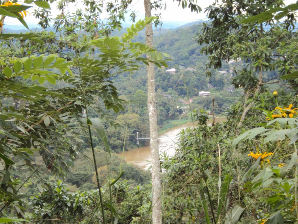 Araliya Home Stay Kandy Buitenkant foto