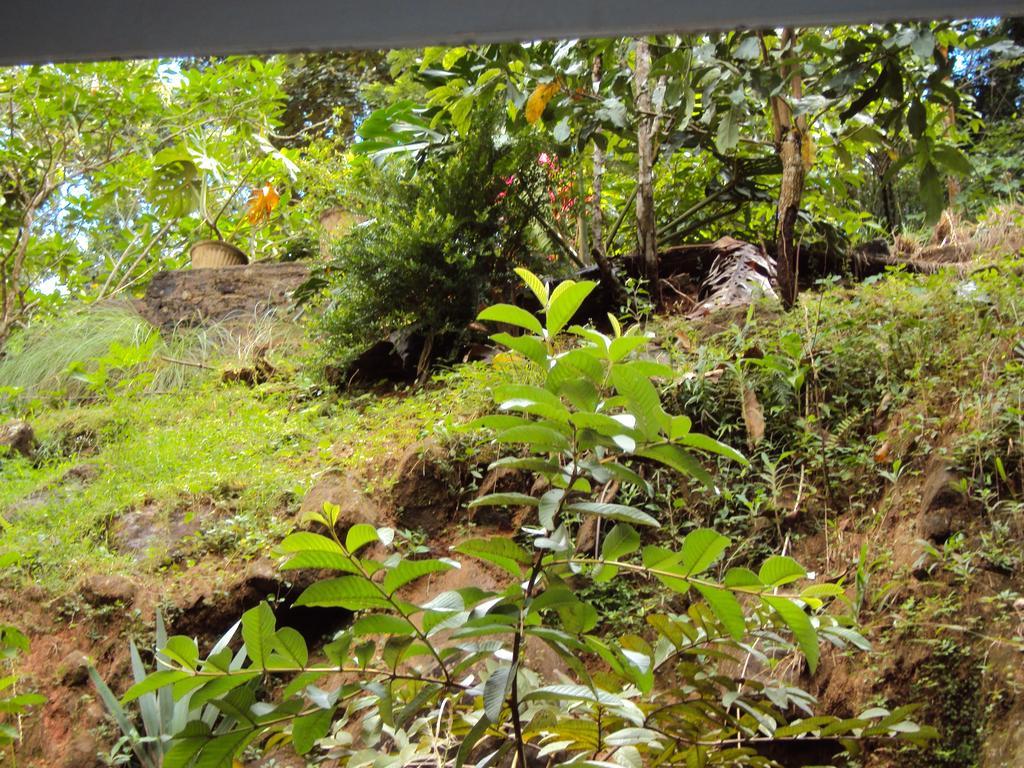 Araliya Home Stay Kandy Buitenkant foto