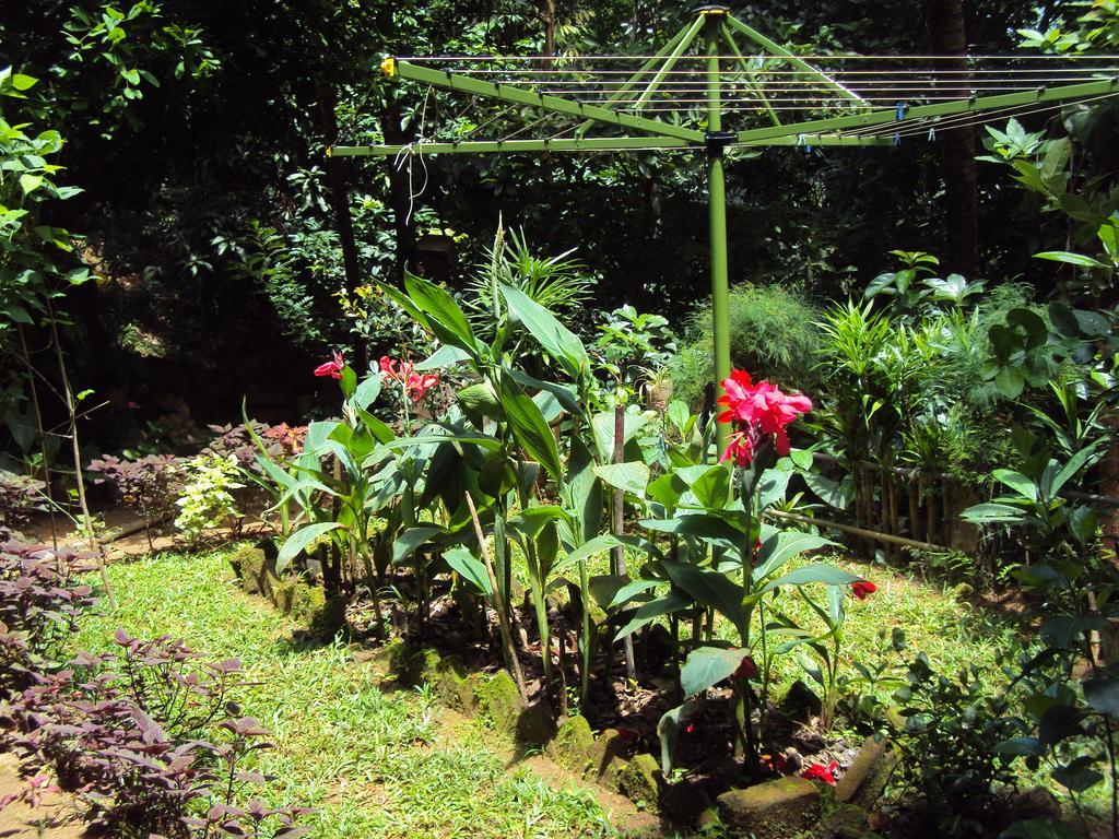 Araliya Home Stay Kandy Buitenkant foto