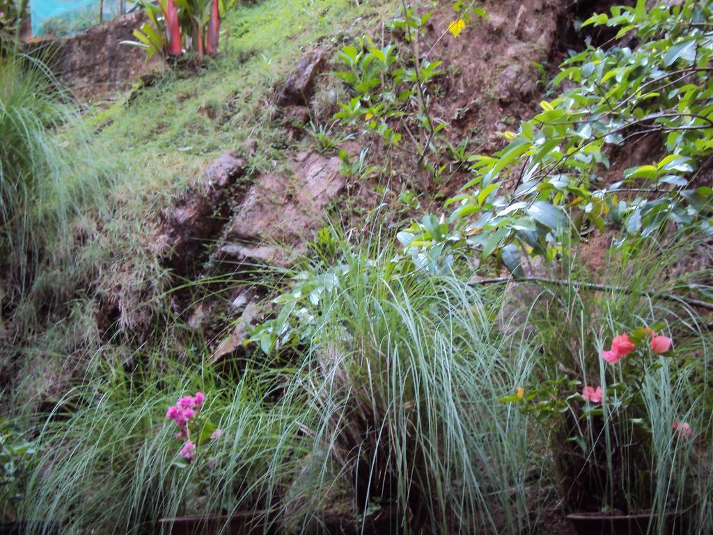 Araliya Home Stay Kandy Buitenkant foto