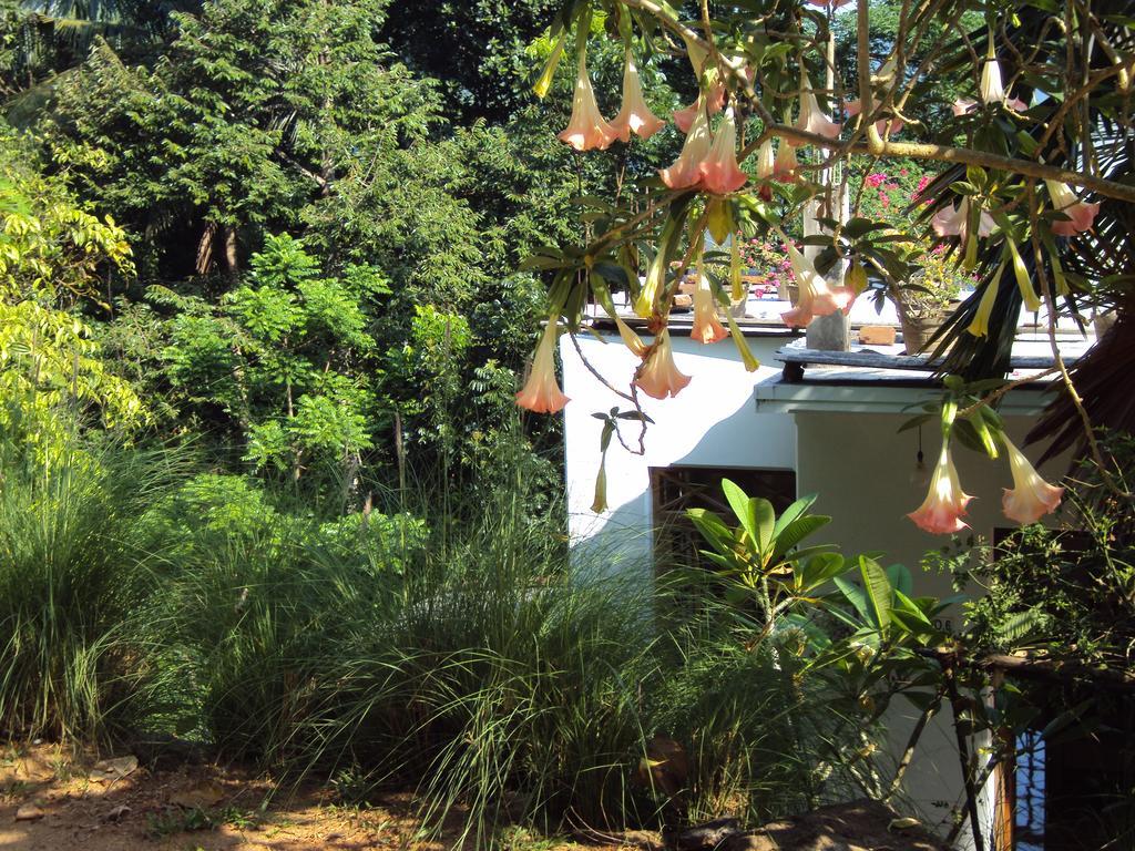 Araliya Home Stay Kandy Buitenkant foto