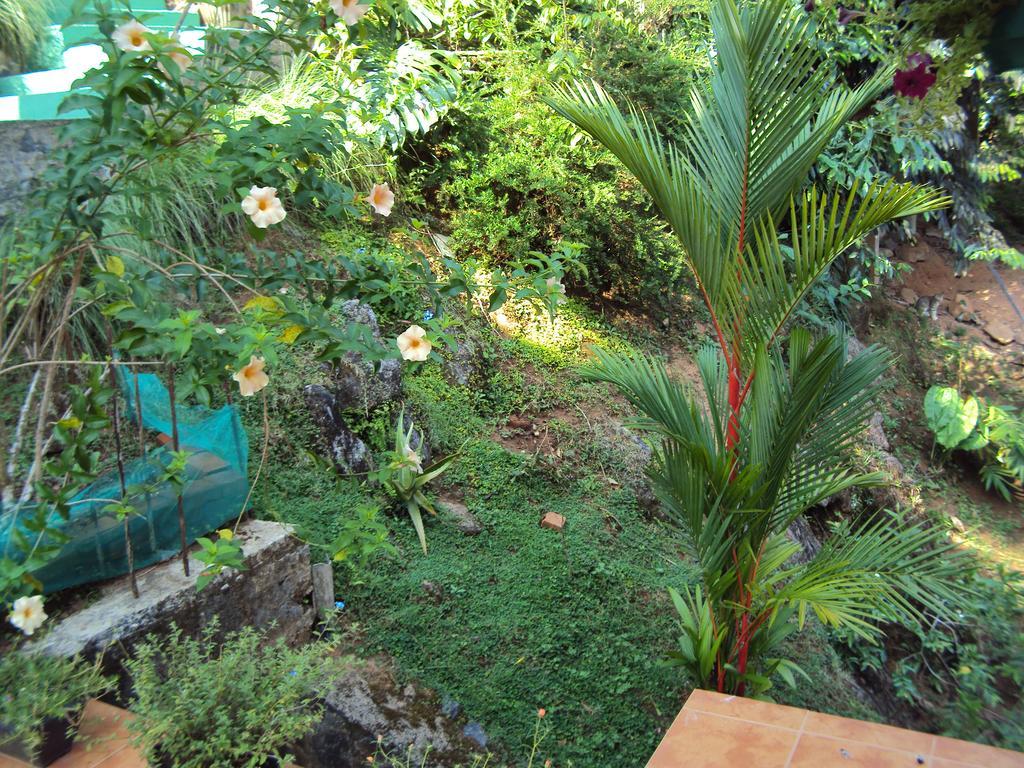 Araliya Home Stay Kandy Buitenkant foto