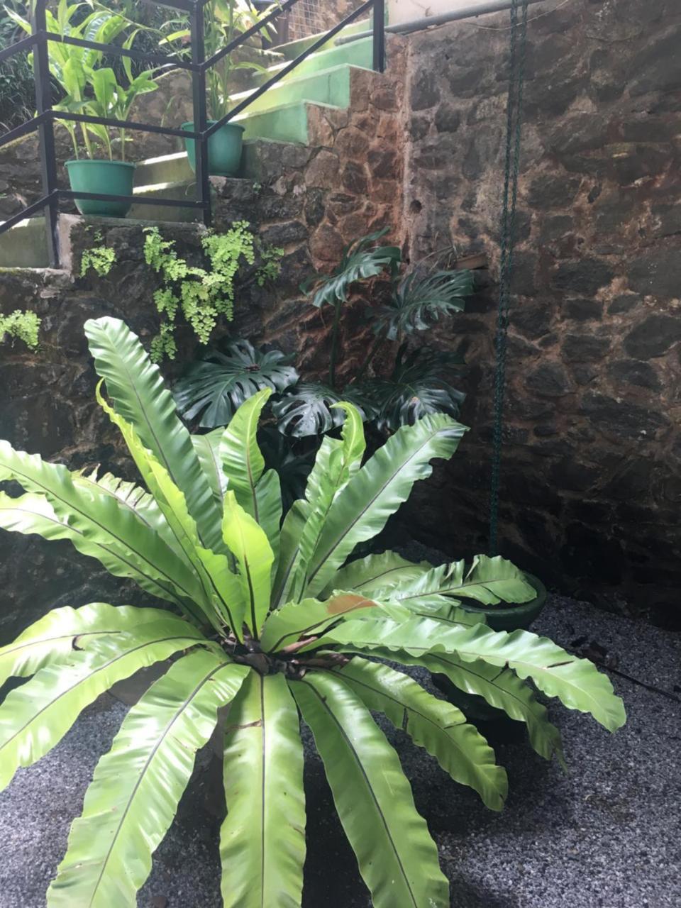 Araliya Home Stay Kandy Buitenkant foto