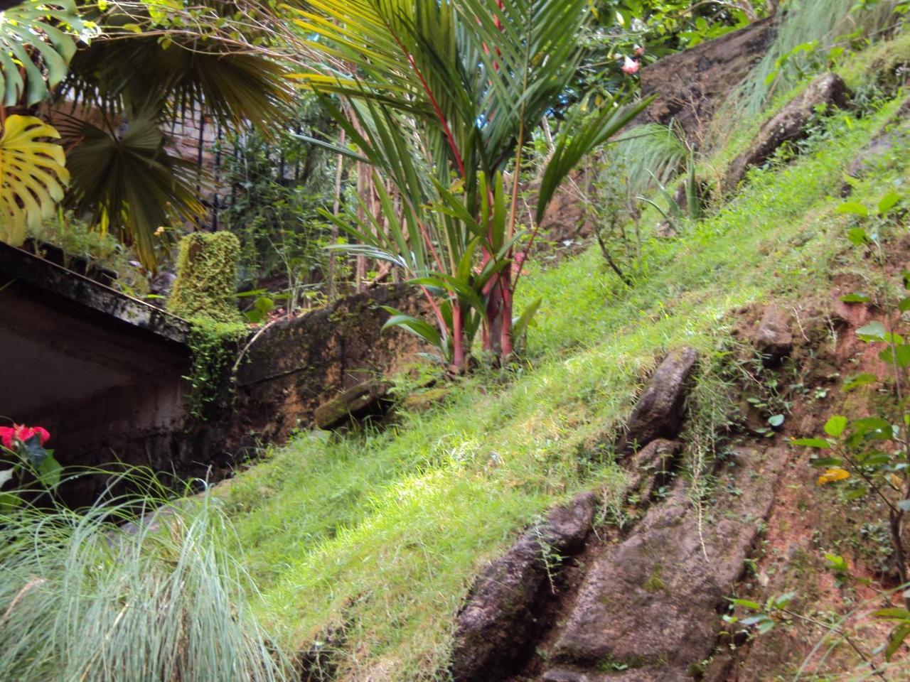 Araliya Home Stay Kandy Buitenkant foto